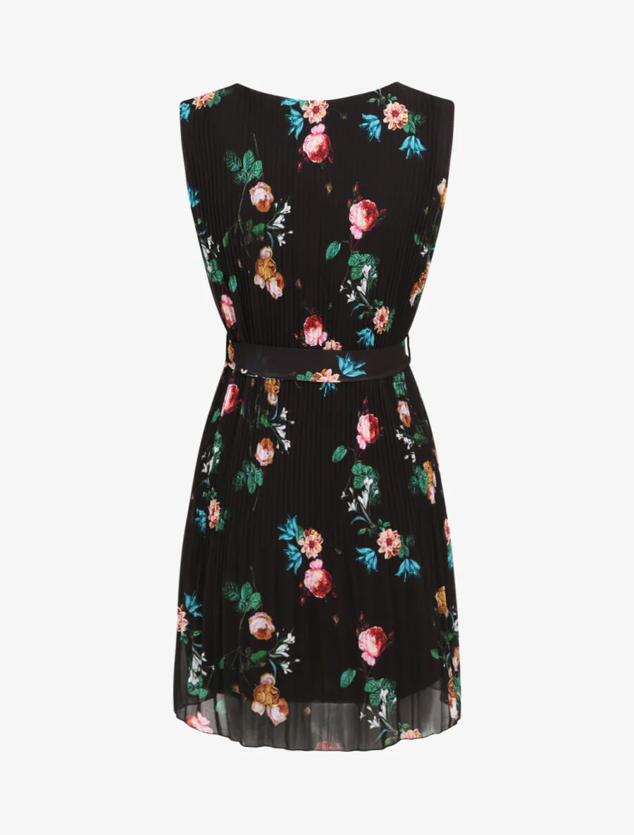 Robe plissée imprimé roses sauvages - Noir - Image 2