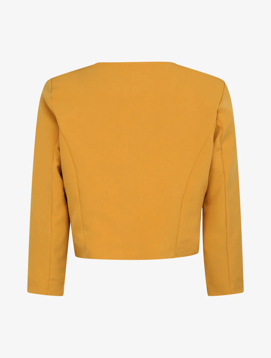 Veste droite uni manches 3/4 - Moutarde - Image 2
